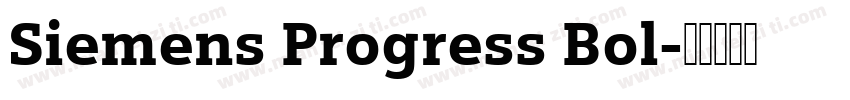 Siemens Progress Bol字体转换
